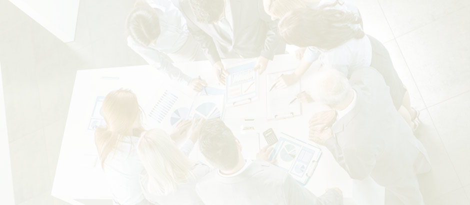 Interim Management